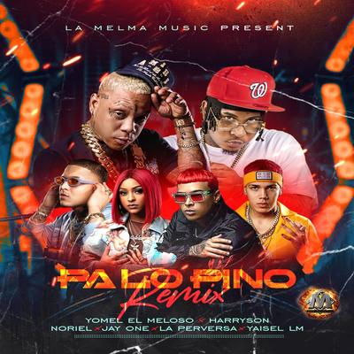 Pa Lo Pino Remix's cover