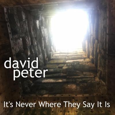 Pure & Simple By David Peter's cover