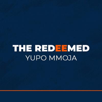 Yupo mmoja's cover