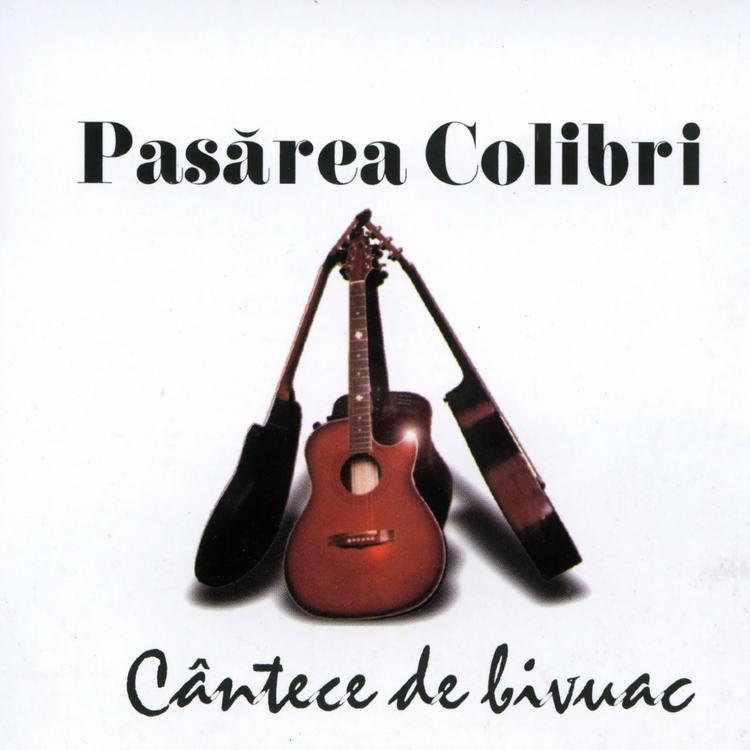 Pasărea Colibri's avatar image