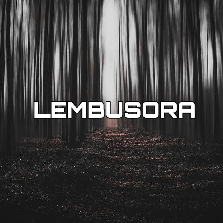 LEMBUSORA's avatar image