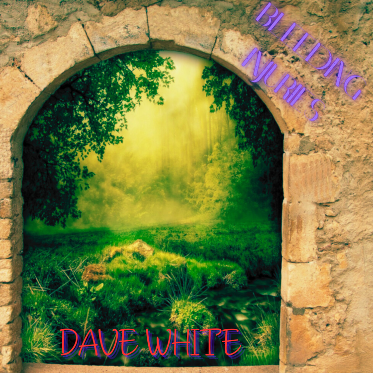 Dave White's avatar image