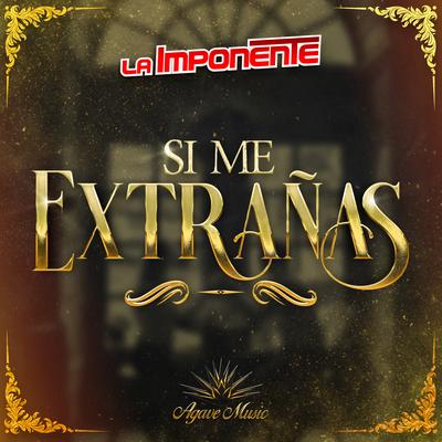 Si Me Extrañas's cover