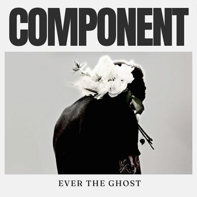 Component's cover