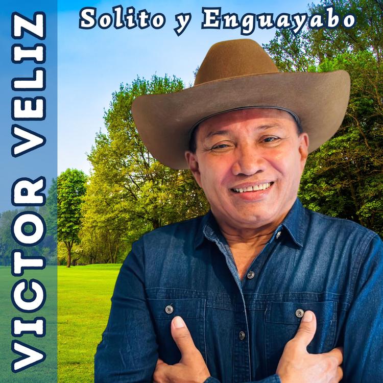 Victor Veliz's avatar image