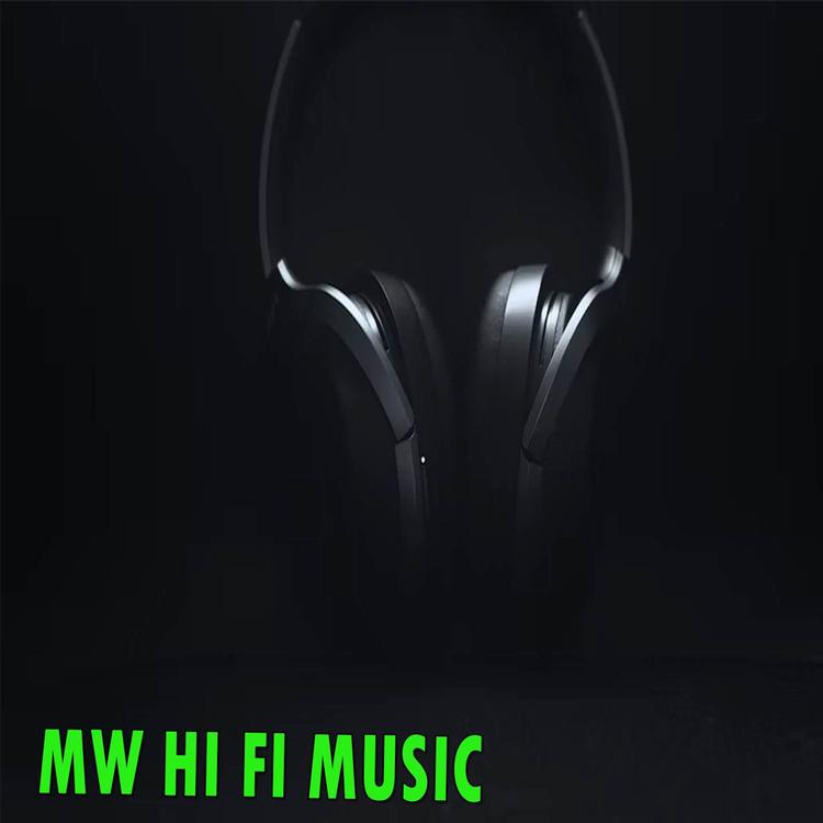 MW HI FI Music's avatar image