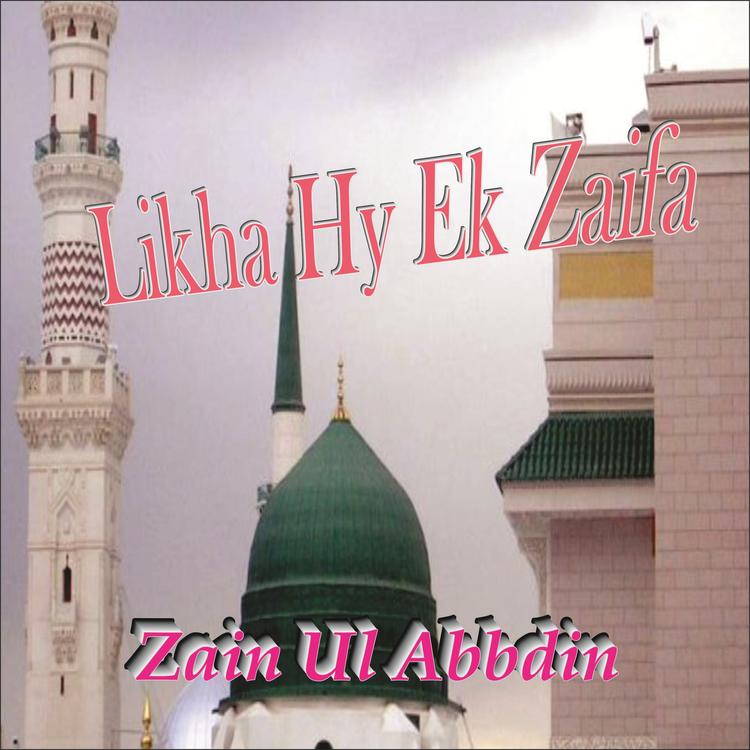 Zain Ul Abbdin's avatar image