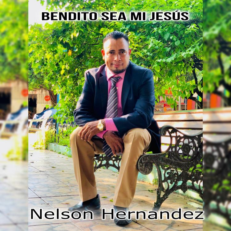 Nelson Hernandez's avatar image