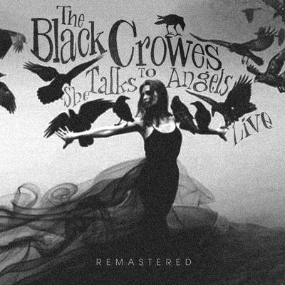 Twice as Hard (Live, The Cabaret, San Jose, CA 3 Nov '90) By The Black Crowes's cover