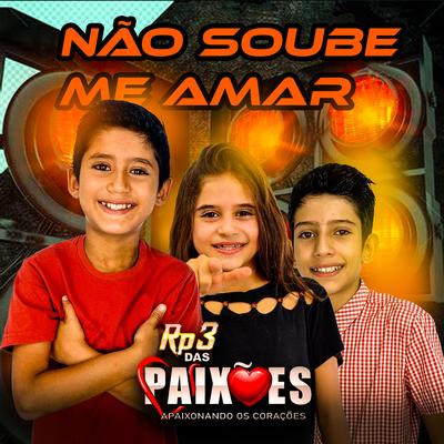 Não Soube Me Amar's cover