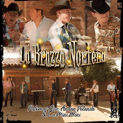 La Brazza Norteña's cover