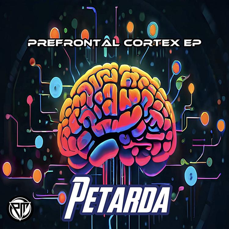 Petarda's avatar image