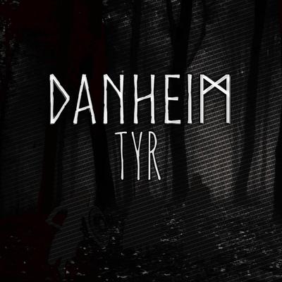 Tyr By Danheim's cover