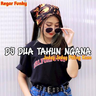 Dj Dua Tahun Ngana Se Tinggal Instr's cover