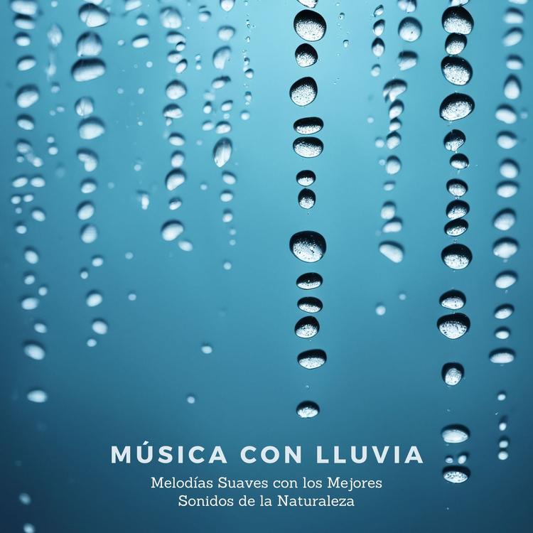 Cascada de Lluvia's avatar image