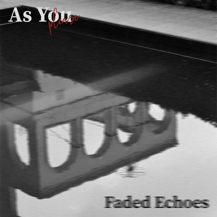 As You Please's avatar image