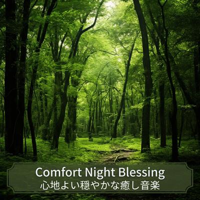 Comfort Night Blessing's cover