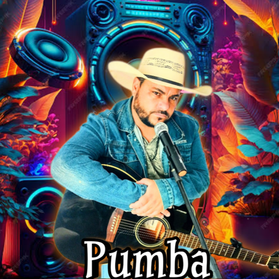 Timão e Pumba's cover