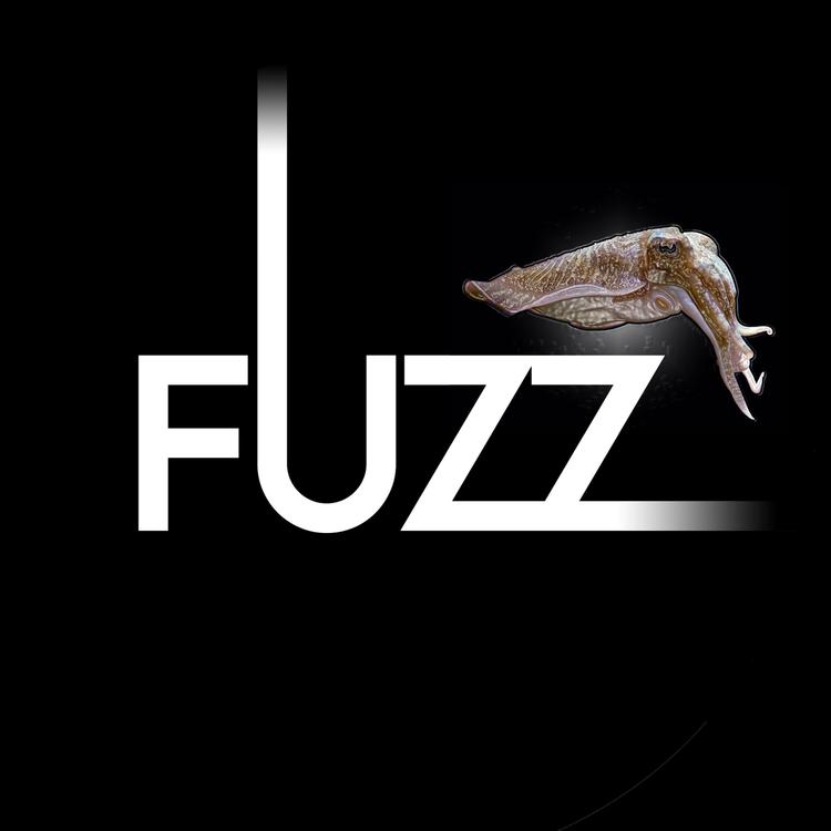 FUZZ's avatar image