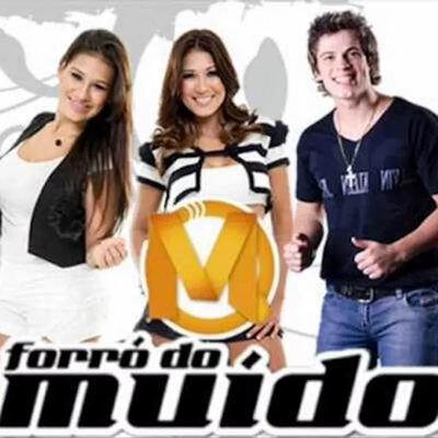 Forró Do Muído, Vol.8 (Ao Vivo)'s cover
