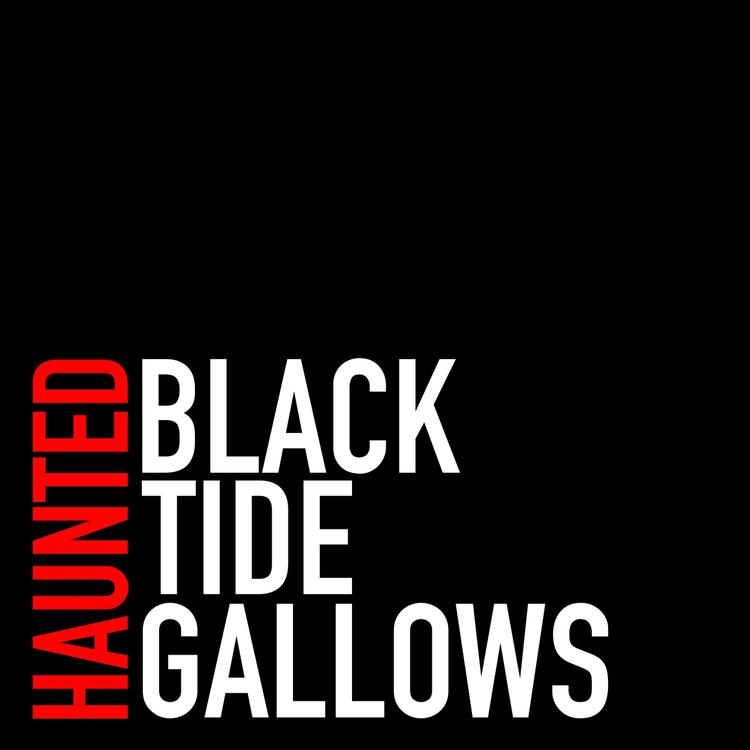 Black Tide Gallows's avatar image