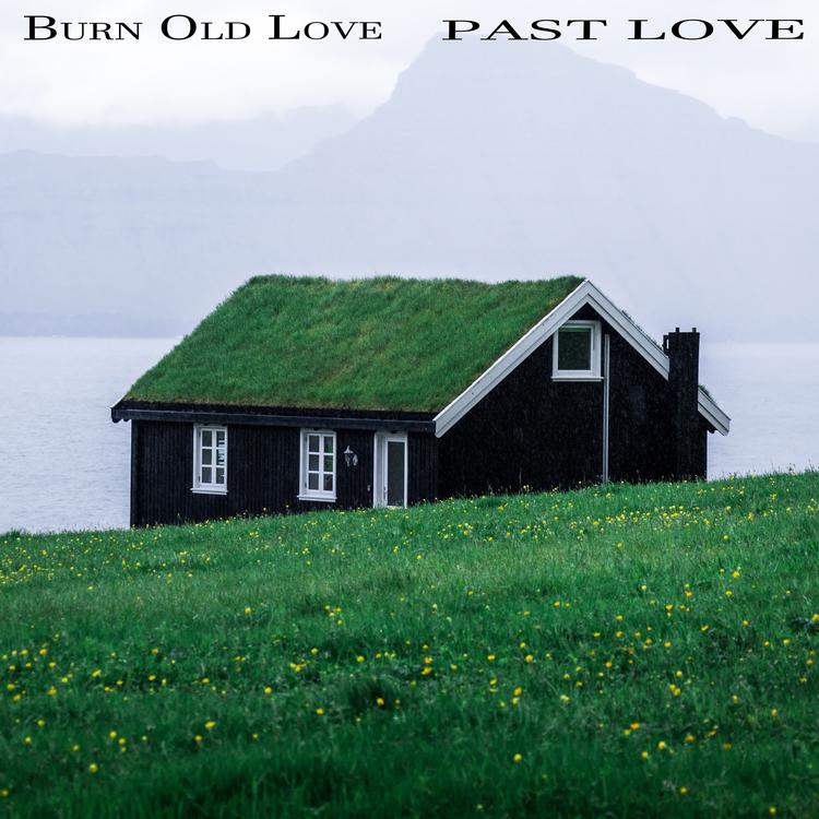 Burn Old Love's avatar image