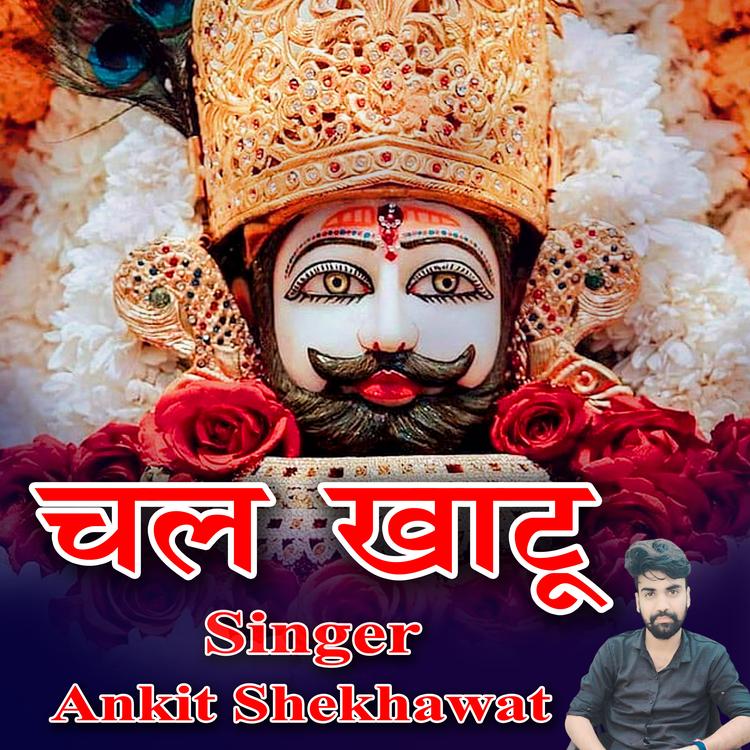 Ankit Shekhawat's avatar image