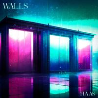 HAAS's avatar cover