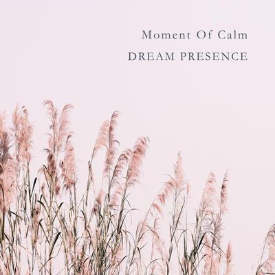 Moment Of Calm By Dream Presence's cover