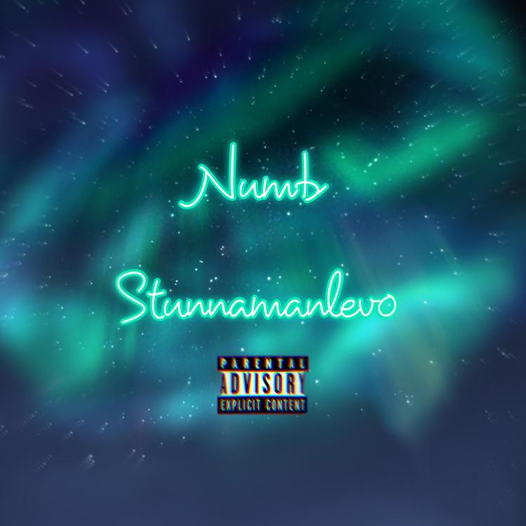 Stunnamanlev0's avatar image