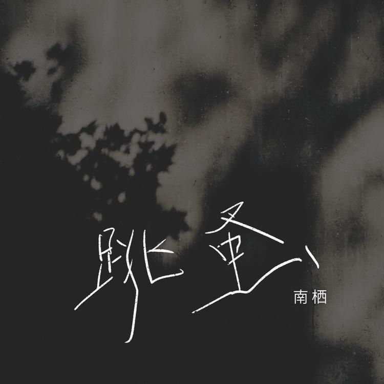 南栖's avatar image