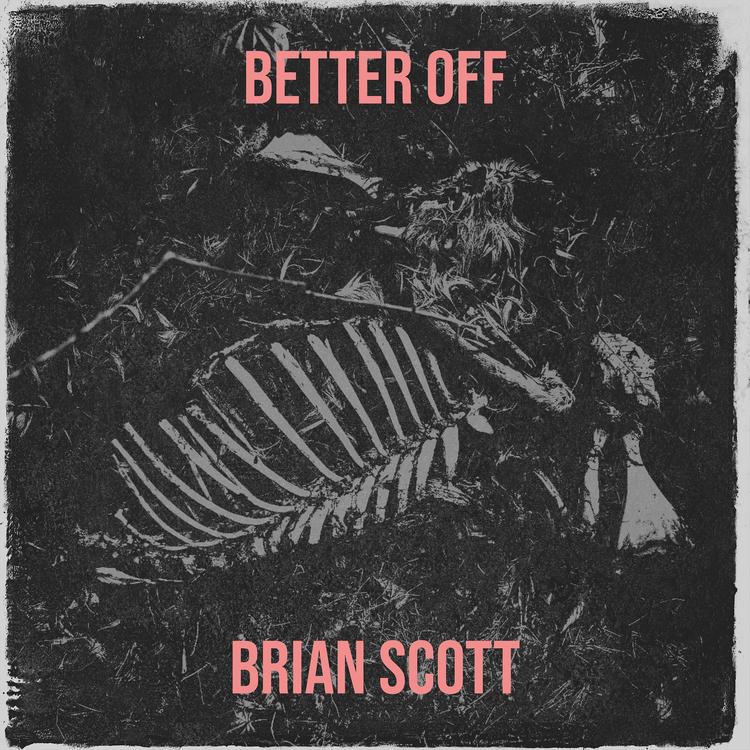 Brian Scott's avatar image