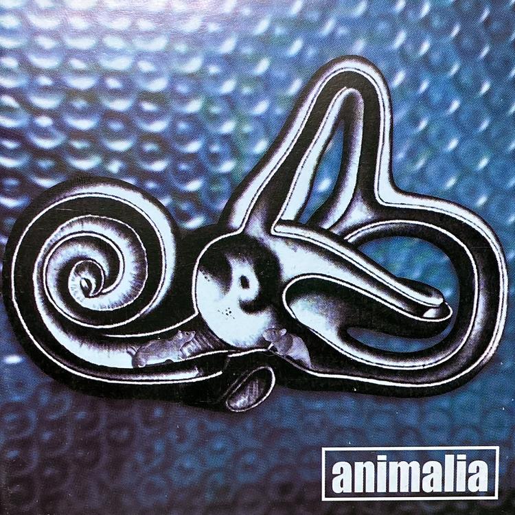 Animalia's avatar image