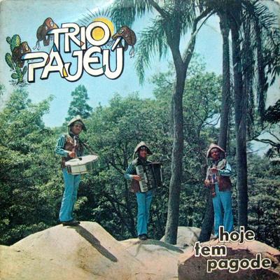 Hoje tem Pagode 1971's cover