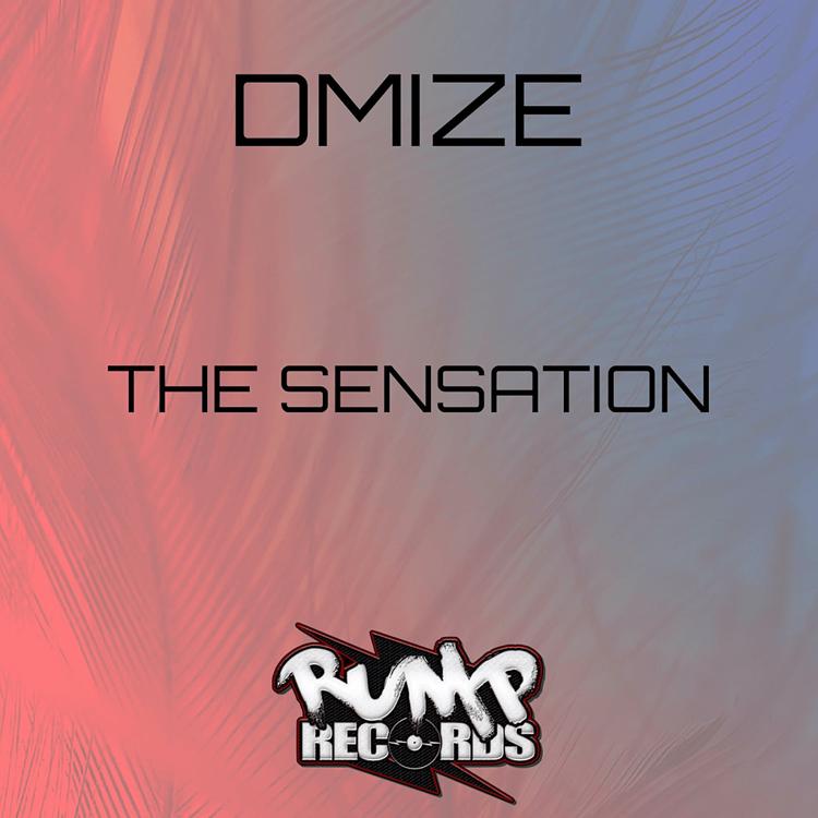 Dmize's avatar image