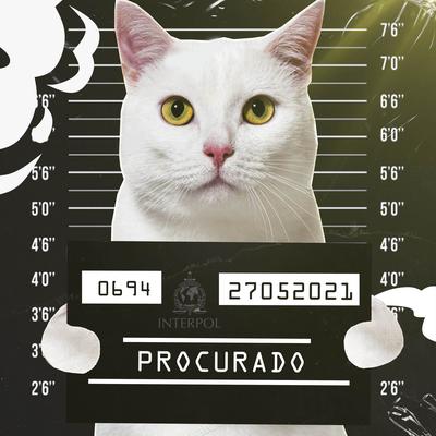 Cadê Meu Gato? By VMZ's cover