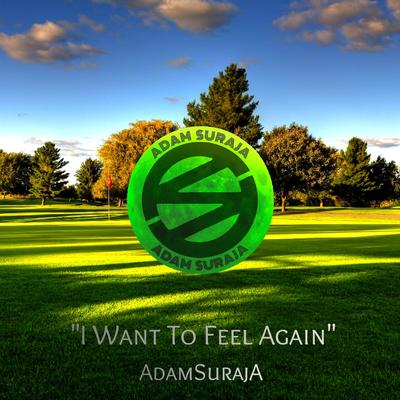 I Want to Feel Again's cover