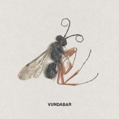 Shadow Boxing By Vundabar's cover