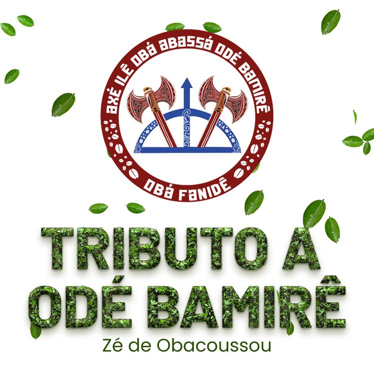 Zé de Obacoussou's avatar image