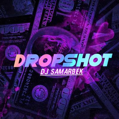 Dropshot's cover