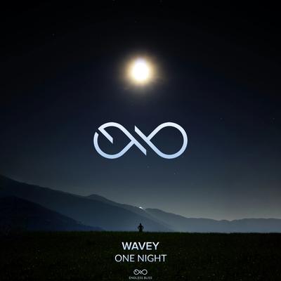 One Night By Wavey's cover