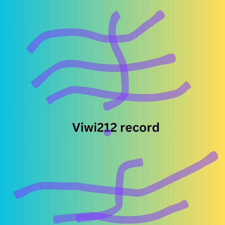 Viwi212 record's avatar image