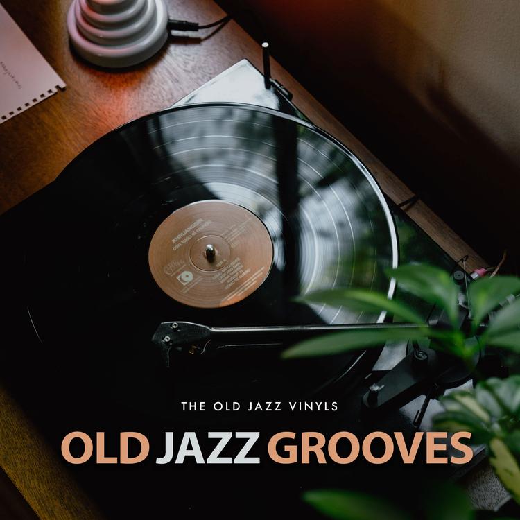 The Old Jazz Vinyls's avatar image