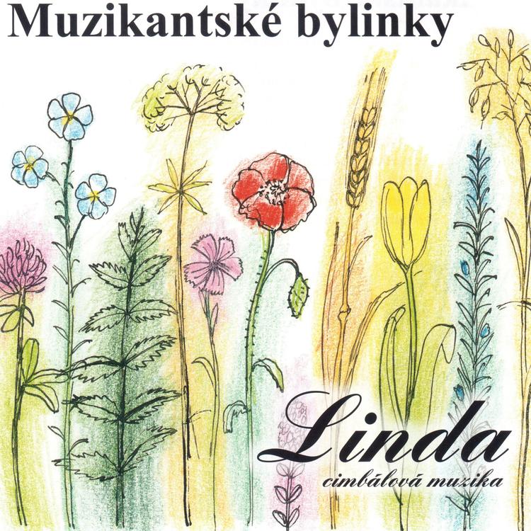 Cimbálová muzika Linda's avatar image