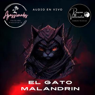 EL GATO MALANDRIN (PASSION VALLENATA EN VIVO) (En vivo)'s cover