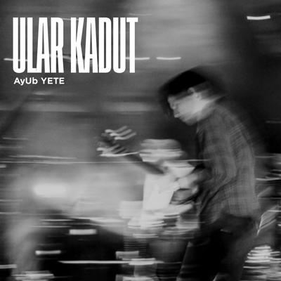 Ular Kadut (INS)'s cover