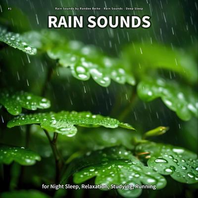 Nice Night By Rain Sounds by Randee Beike, Rain Sounds, Deep Sleep's cover