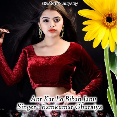 Ant Kar Lo Bibah Janu's cover