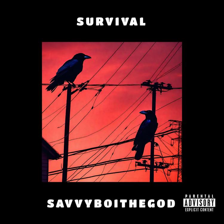 SavvyBoiTheGod's avatar image