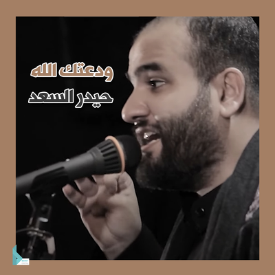 ودعتك الله's cover